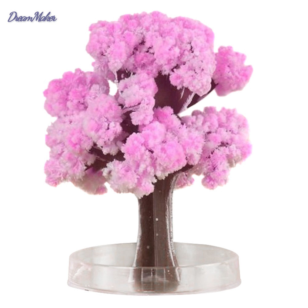 Cây giấy nở hoa anh đào thần kỳ | BigBuy360 - bigbuy360.vn