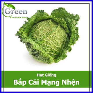 Hạt giống bắp cải mạng nhện