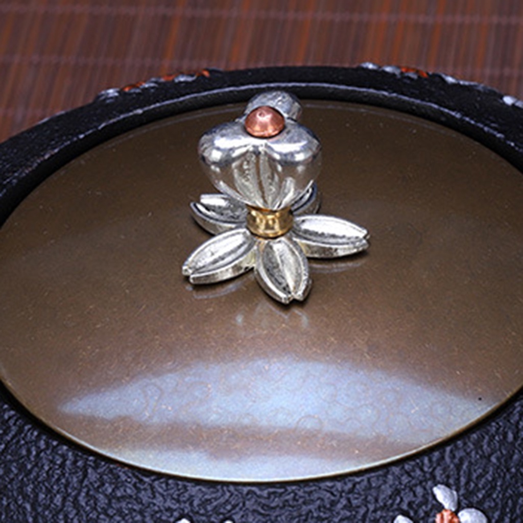 Ấm Trà Bằng Sắt Có Tay Cầm Chống Bỏng Phong Cách Vintage Cho Nhà Bếp