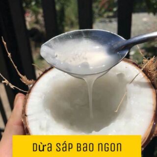 Dừa sáp cầu kè