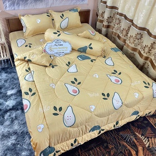 chăn phao cotton poly set 5 món