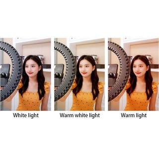 Đèn Led Ring Livestream HQ21 HL Studio