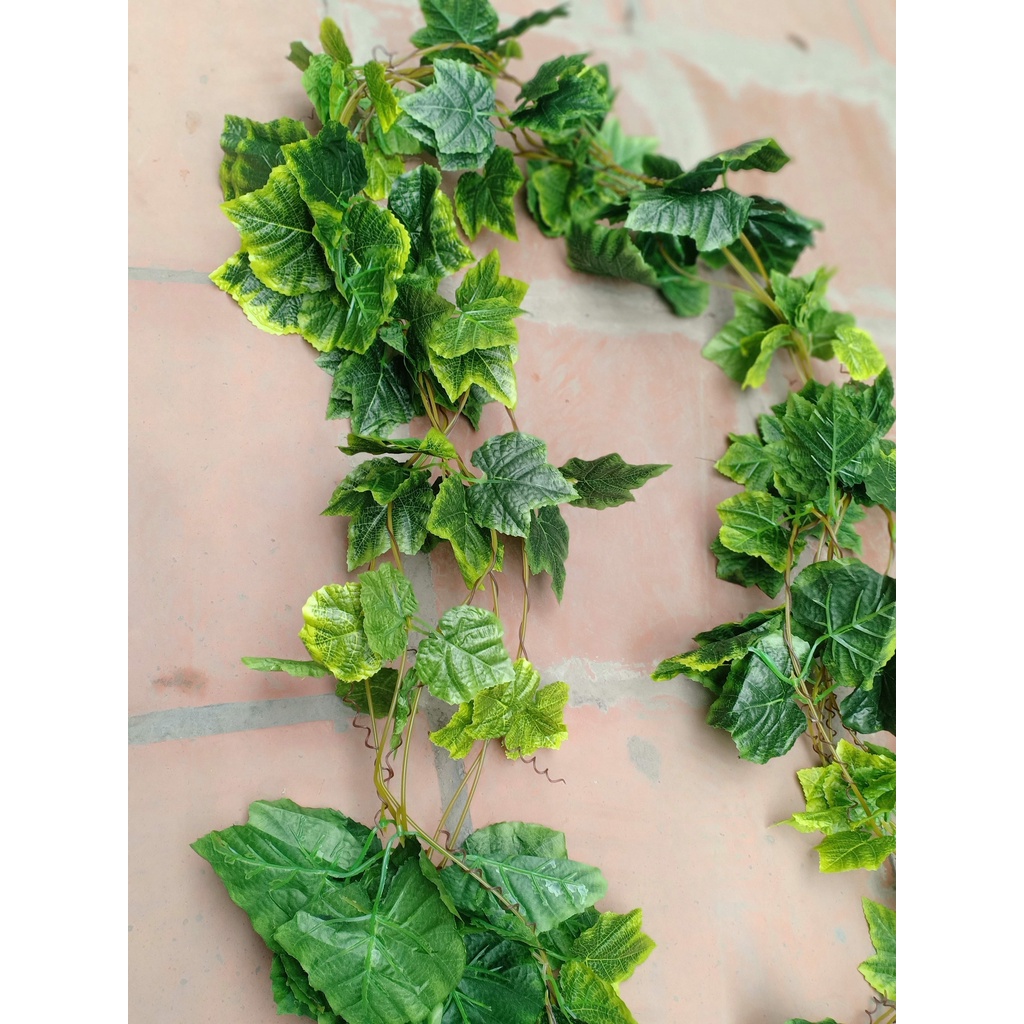 Dây leo lá nho xịn  bó 5 dây dài 2m7-Lá giả