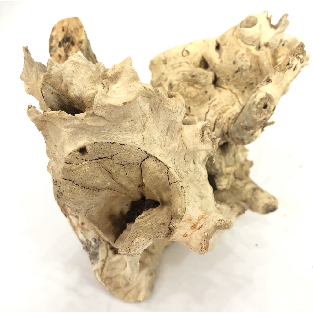 Lũa trang trí chuồng bò sát, hồ thuỷ sinh