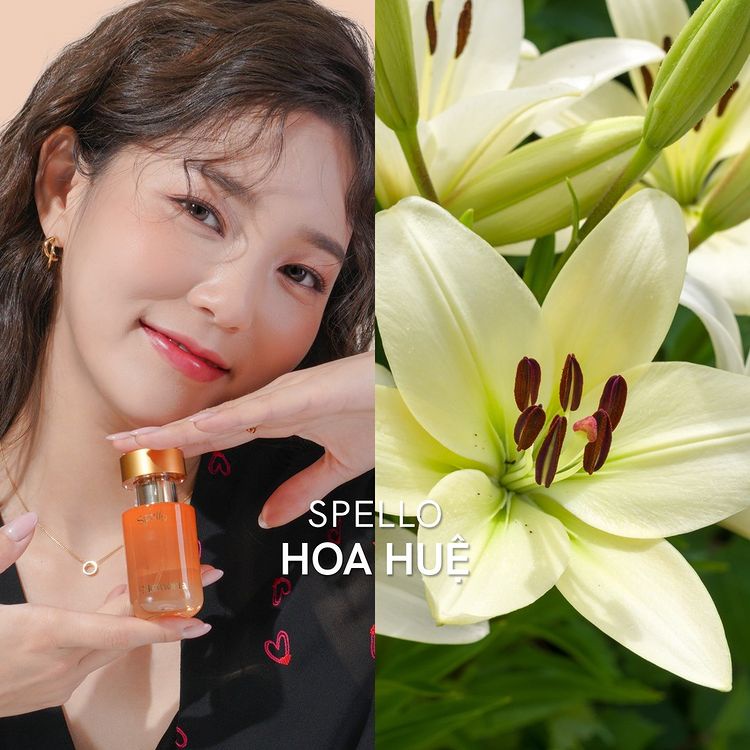 Nước Hoa Hàn Quốc De Memoria #01 Spello