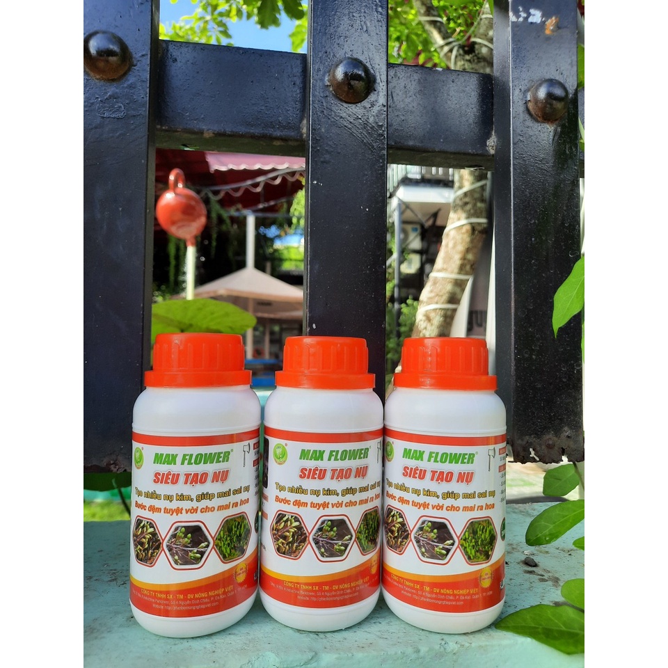 SIÊU TẠO NỤ MAI