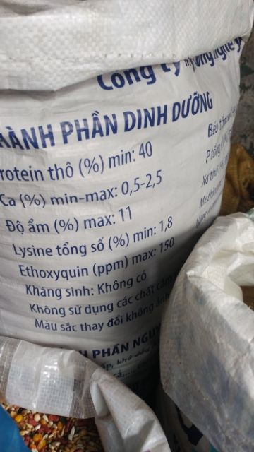 Cám CÁ Tổng Hợp - Dạng Nổi [1 KG]