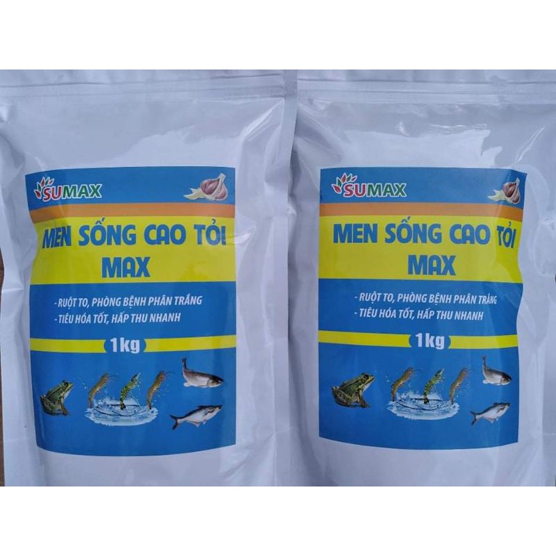 MEN SỐNG CAO TỎI THỦY SẢN