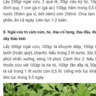 Cây ngải cứu