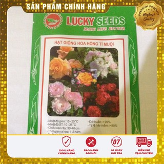 Hạt Giống Hoa Hông Tỉ Muội(20 hạt)