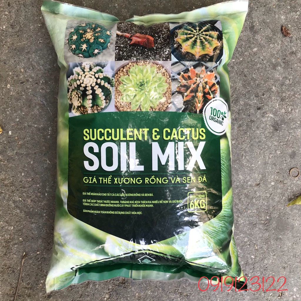 GÍA THỂ TRỒNG SEN ĐÁ, XƯƠNG RỒNG NHẬP KHẨU