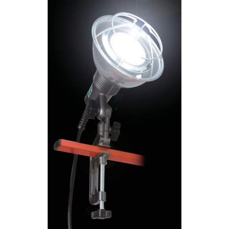 Đèn led hataya nhật bãi