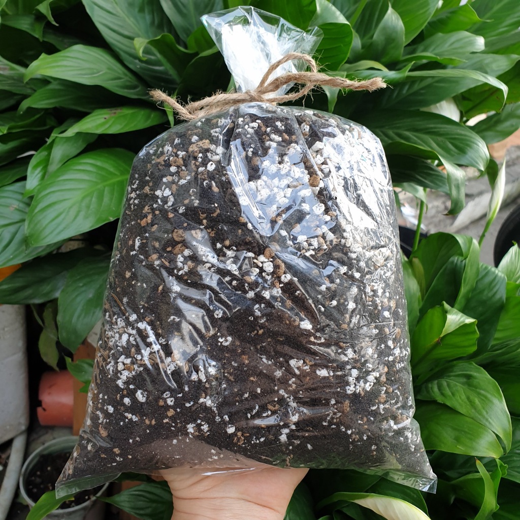 Đất trồng sen đá, xương rồng 1kg 🔥FREE SHIP🔥 siêu phẩm trồng sen đá, xương rồng