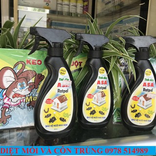 Asa - Xua đuổi chuột