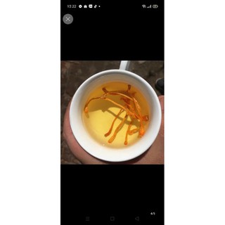 ĐÔNG TRÙNG HẠ THẢO