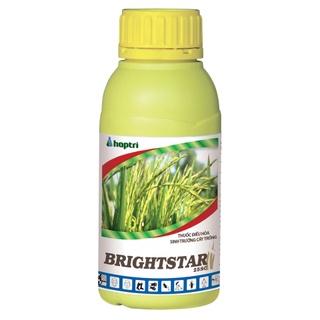 Brightstar 25SC, chai 1 lít điều hòa sinh trưởng, xử lý ra hoa trái vụ