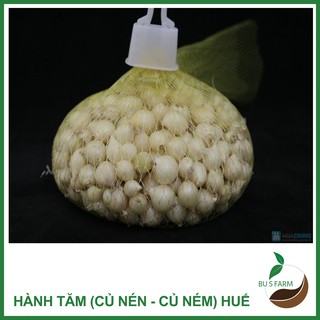 Củ Ném (Củ Nén - Hành Tăm - Hành Trắng) - Đặc sản Huế - Nhà trồng (500gr-1kg)