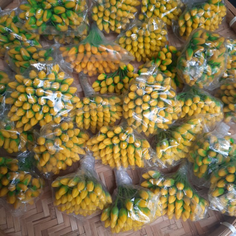 Nụ Hoa Mai/ Đào Đất Sét