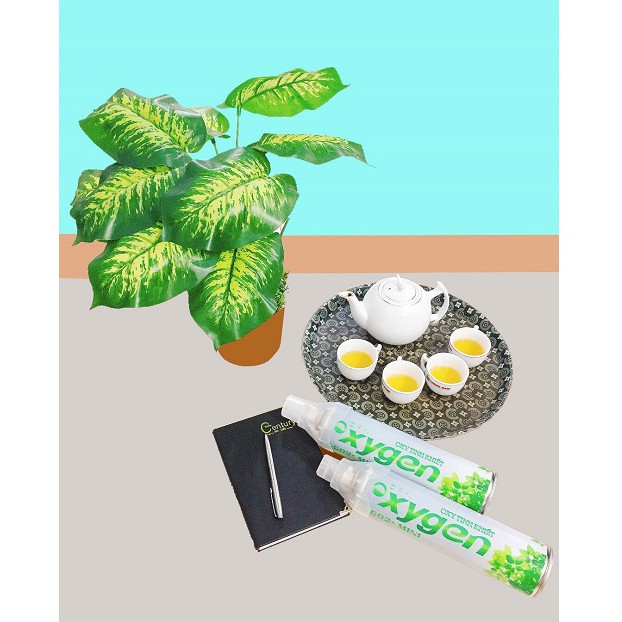 Bình Oxy mini cầm tay