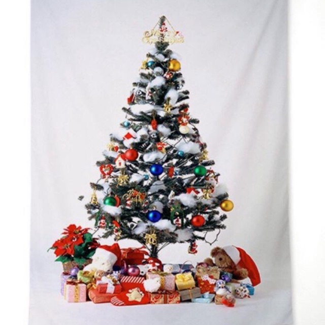 TRANH TREO CÂY THÔNG NOEL