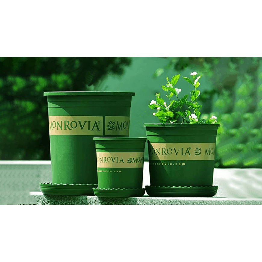 [ Giá Sỉ ] Chậu Nhựa MONROVIA 3GL Việt Nam - Chậu Trồng Cây Cảnh, Hoa