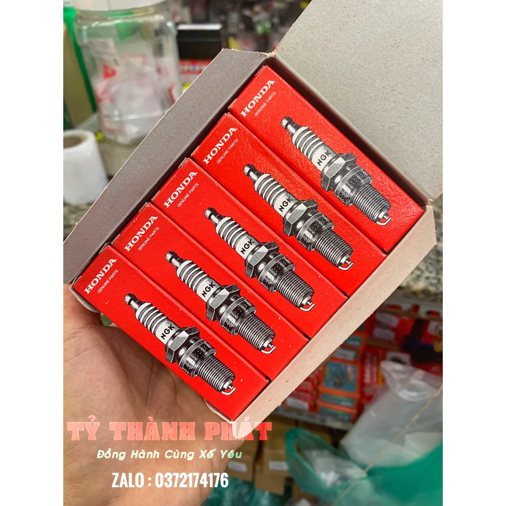 Bu Gi Honda zin NGK C6 chân ngắn