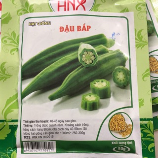 Hạt giống đậu bắp (Xanh/ đỏ) ☘️