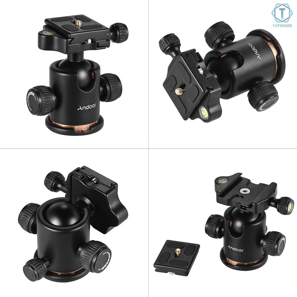 Đầu tròn gắn camera trên giá đỡ tripod có tấm tháo rời nhanh ốc 1/4 inch