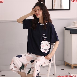 Bộ mặc nhà 💐FREE SHIP💐 Bộ lửng cotton hình heo siêu cute -Micha B9 [đồ bộ]