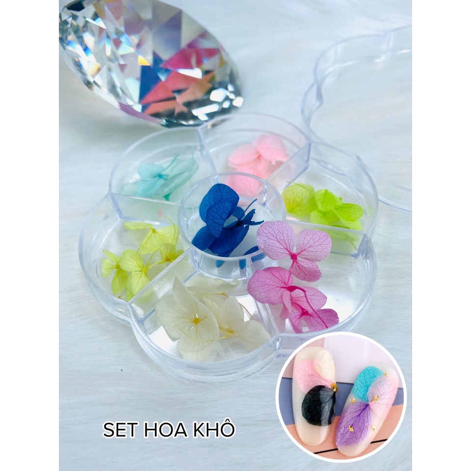 Set hoa khô 7 màu chuyên dùng trang trí móng - phụ kiện dành cho móng - Sushi nail mi
