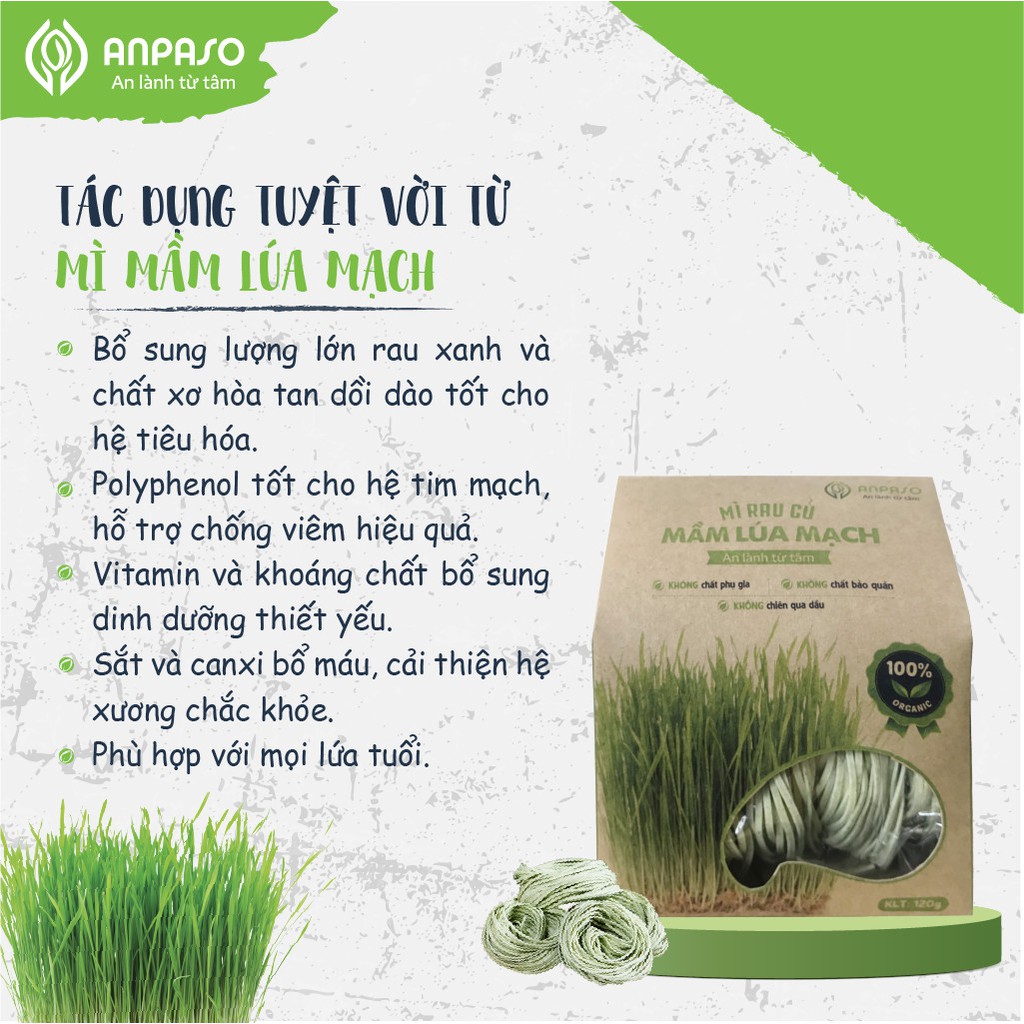 Mì Rau Organic Mầm Lúa Mạch Hữu Cơ Anpaso, Eat clean, Giảm Cân, ăn chay, ăn kiêng, không chiên nóng 120g | BigBuy360 - bigbuy360.vn