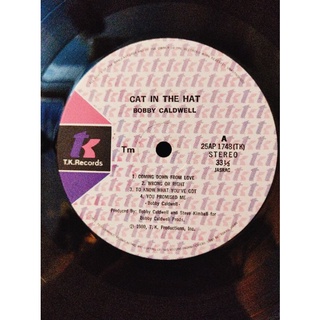 Đĩa than vinyl nhạc Pop Rock