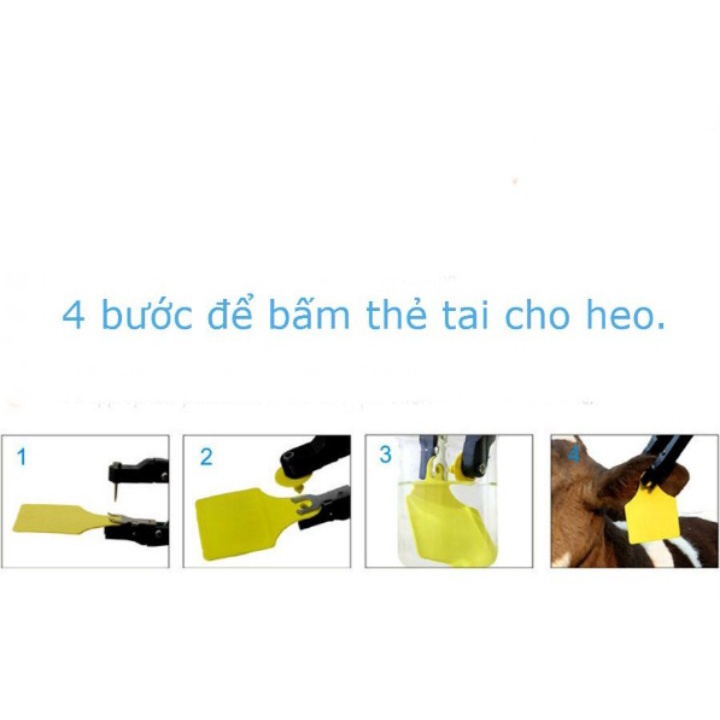 THẺ ĐEO TAI HEO LOẠI KHÔNG SỐ, BỘ 10 THẺ