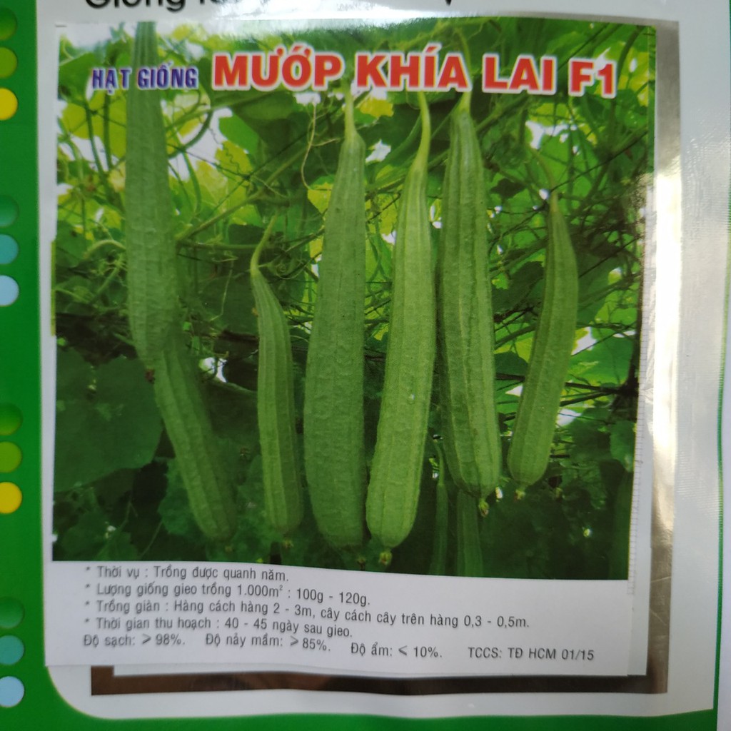 Hạt giống MƯỚP KHÍA LAI F1