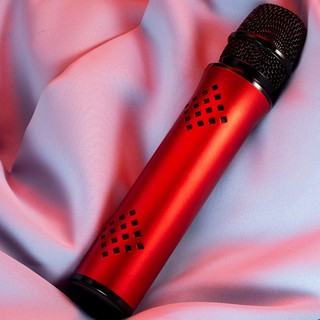 Micro Karaoke Bluetooth cao cấp PKCB321 Chính Hãng