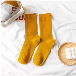 [SOCK Corner] Tất/Vớ Trơn Cổ Cao Đủ Màu