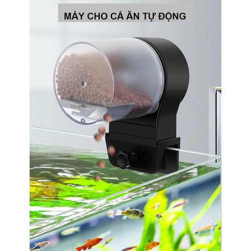 Máy cho cá ăn tự động Sunsun AK02 (3 chế độ hẹn giờ)