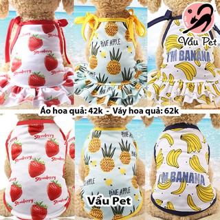 Áo cho chó mèo thú cưng hình hoa quả