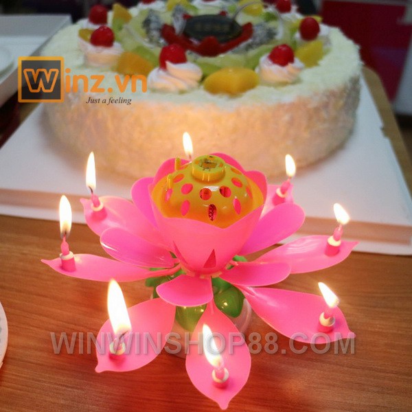 Nến nở hoa và phát nhạc V.2  - muasamhot1208