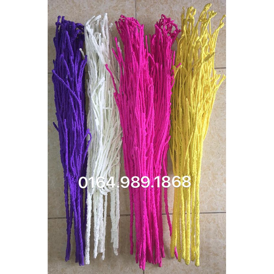 10 BÓ CÀNH TUYẾT MÀU (bó 10 cành dài 60cm)