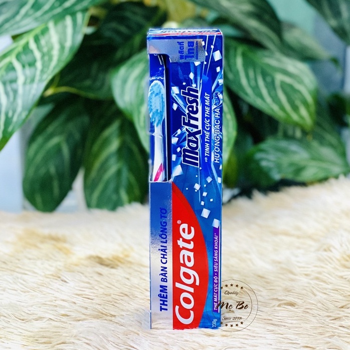 Kem Đánh Răng Colgate Hương Bạc Hà + Tặng Bàn Chải Đánh Răng Maxfresh 230g