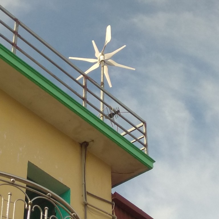 Việt vỹ thương