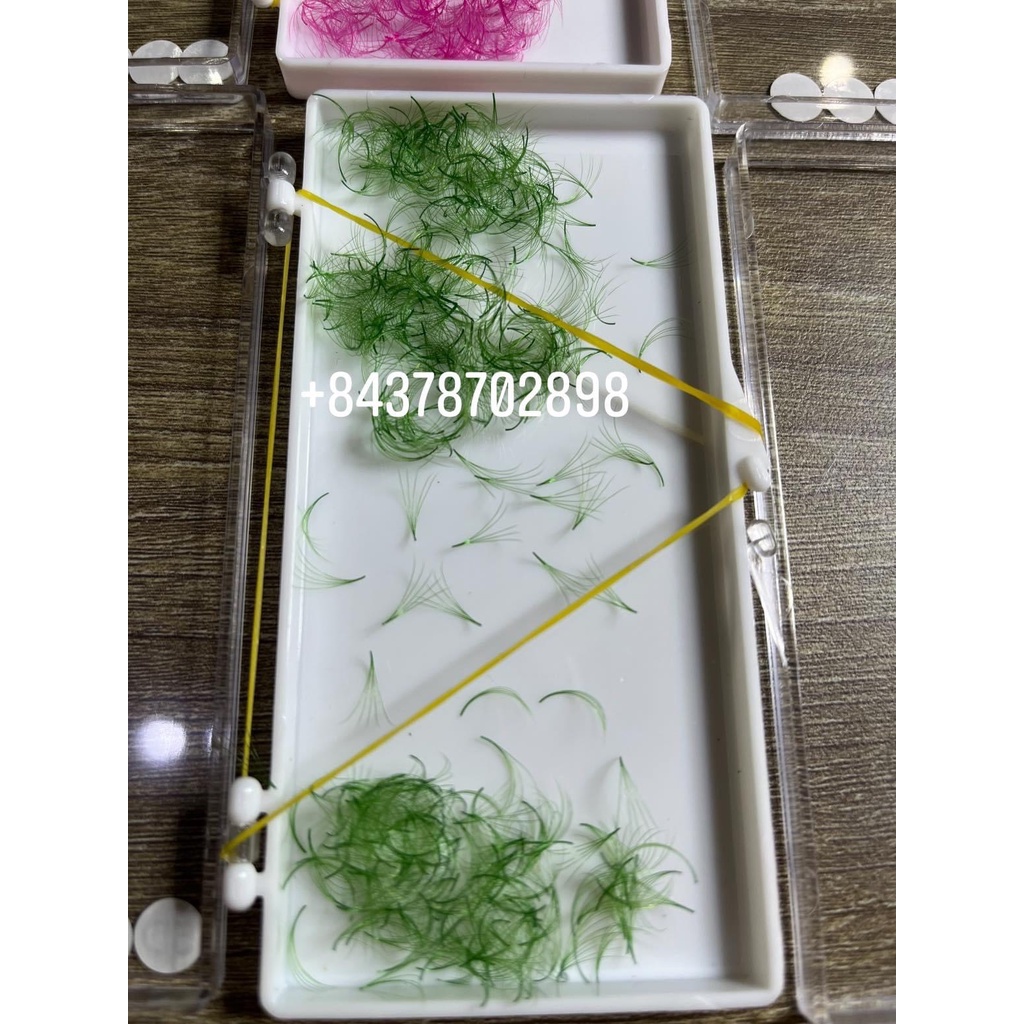 Lông mi fans màu 5D cong C,CC,D 500FAN