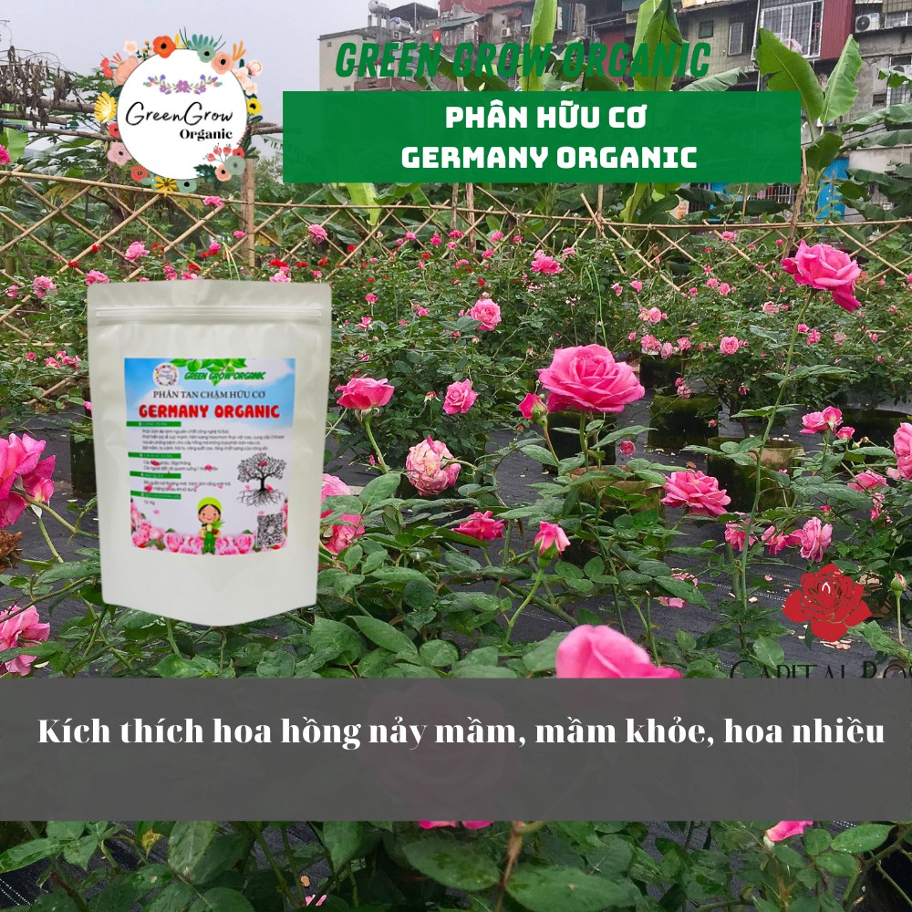 Phân bón hữu cơ tan chậm Germany Organic phân hữu cơ cho hoa hồng túi 1kg giúp rễ khỏe phát triển tốt MS136 GREEN GROW