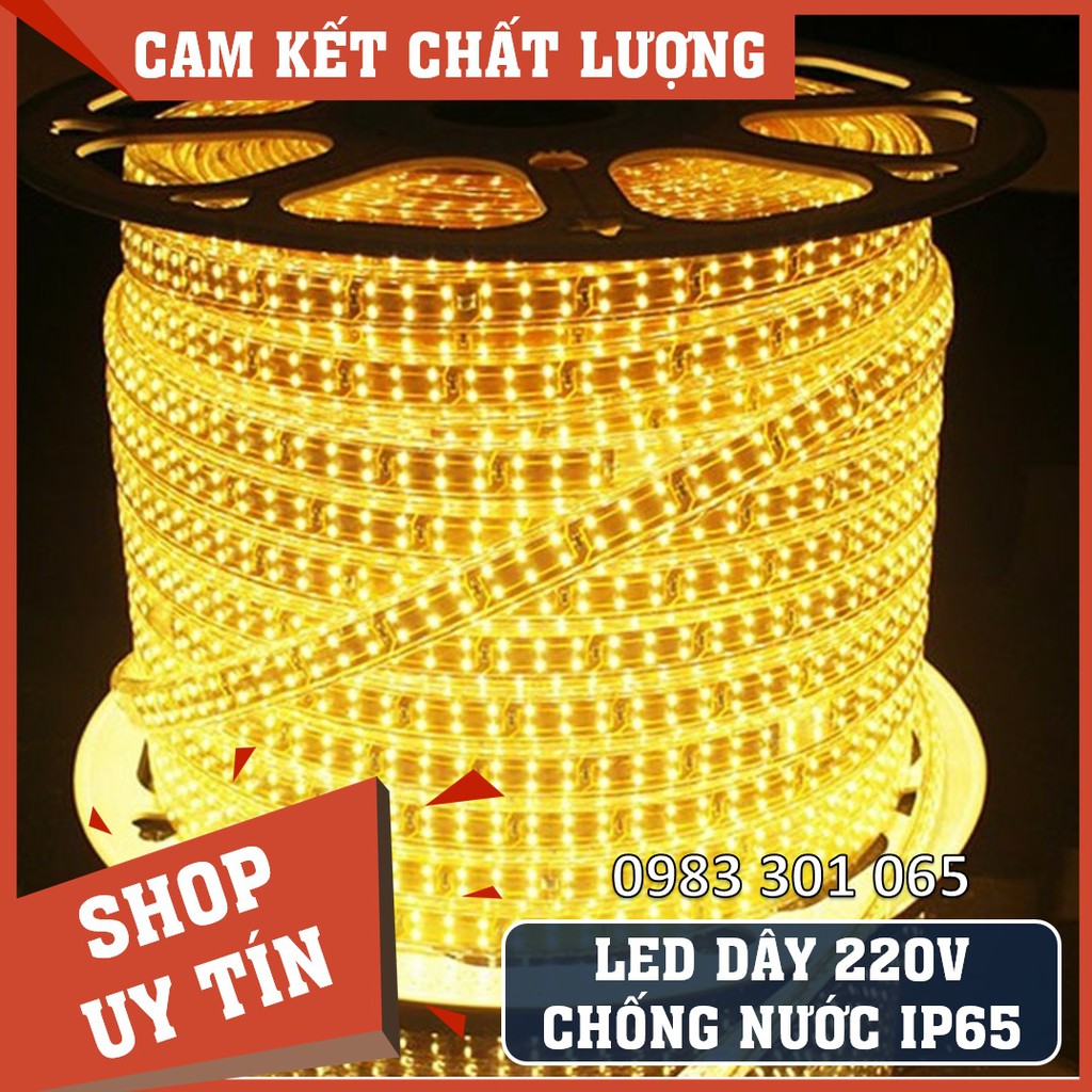 Đèn LED dây quấn cây ngoài trời, hắt trần thạch cao 2835 (5 mét/10 mét) - Siêu sáng - chống nước (chưa kèm nguồn)