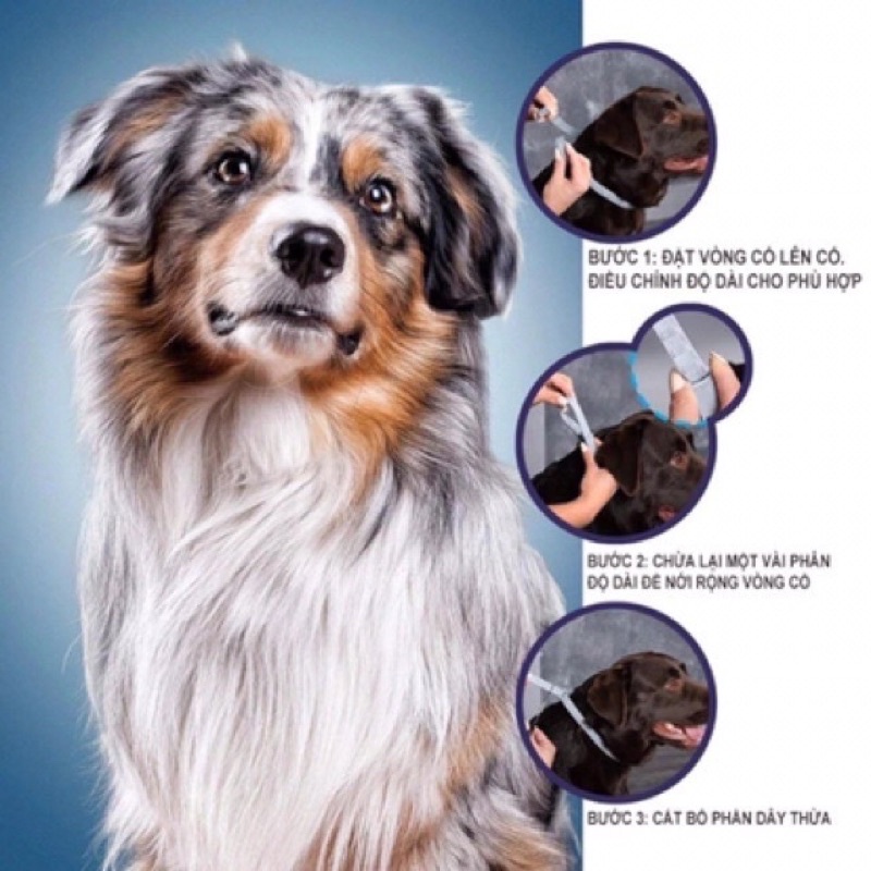 Vòng Cổ Trị Ve Rận Flear &amp; Tick Collar Cho Chó Và Mèo