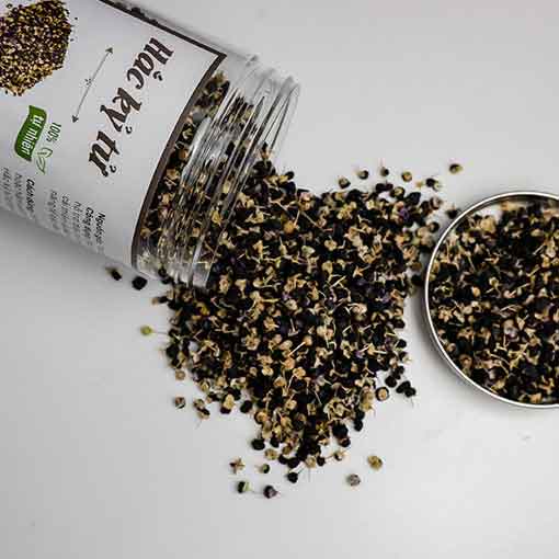 Hắc kỷ tử đen - Hắc kỷ tử tây tạng