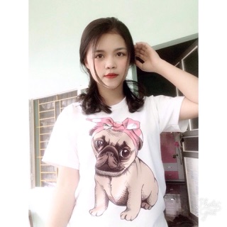 Áo thun in chó đeo nơ siêu đáng yêu ( full size )
