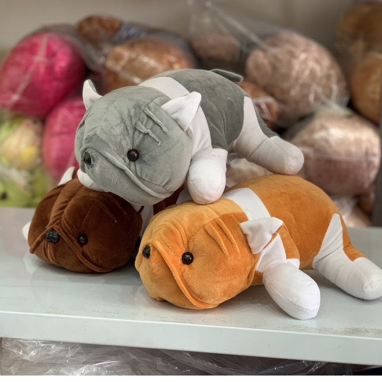Gấu Bông Chó Ngáo Mặt Nhăn Siêu Ngầu, Chất Đẹp, Đường May Tỉ Mỉ, Kích Thước 40cm - 60cm - 1m