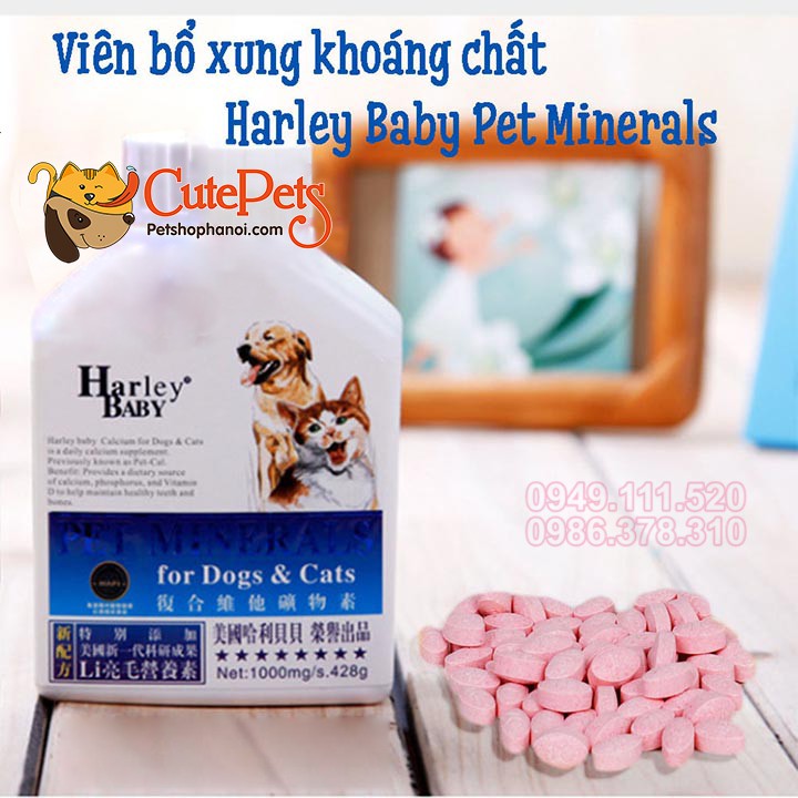 Viên Bổ xung khoáng chất vi lượng Harley Baby Pet Minerals lọ 428 viên - Cutepets